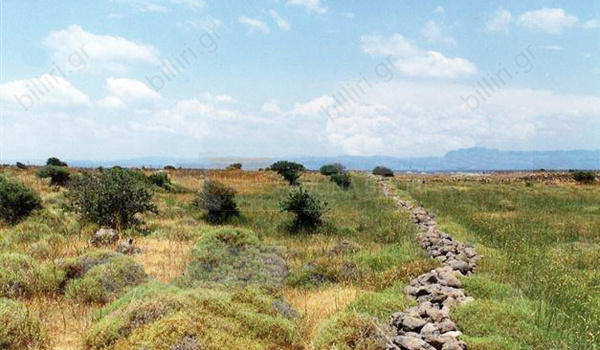 Έκταση - Property